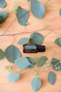 Huile essentielle d'Eucalyptus